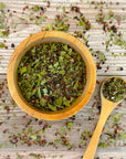 Hibiscus & Moringa
