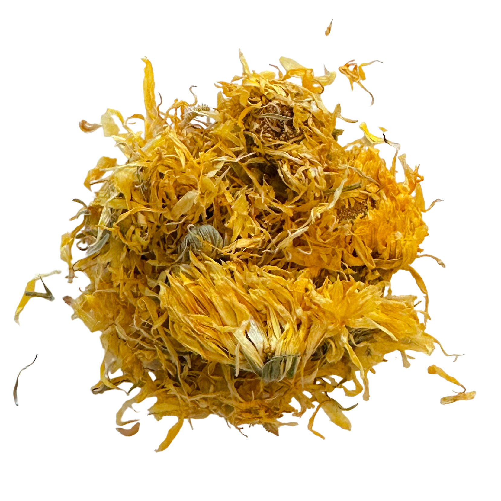 Calendula