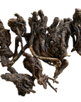 Osha Root