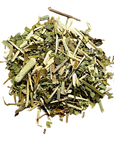Blue Vervain