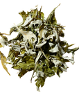 Mugwort