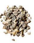 Devil's Claw Root
