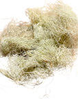 Usnea