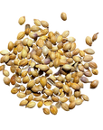 Coriander Seed