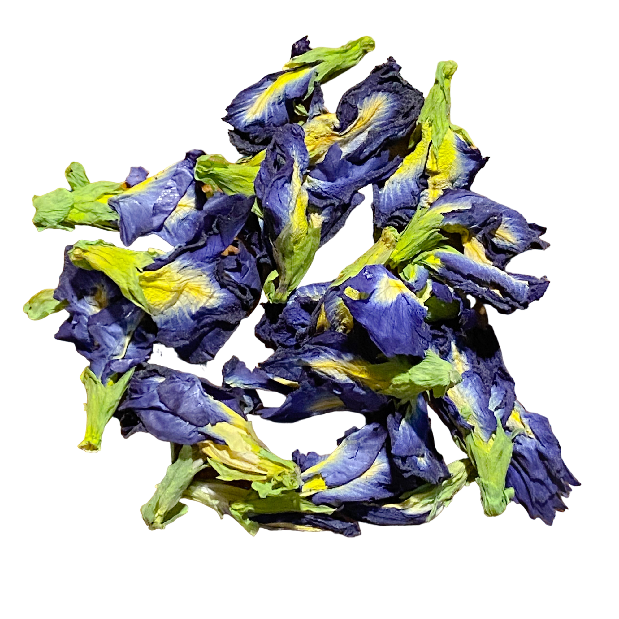 Butterfly Pea