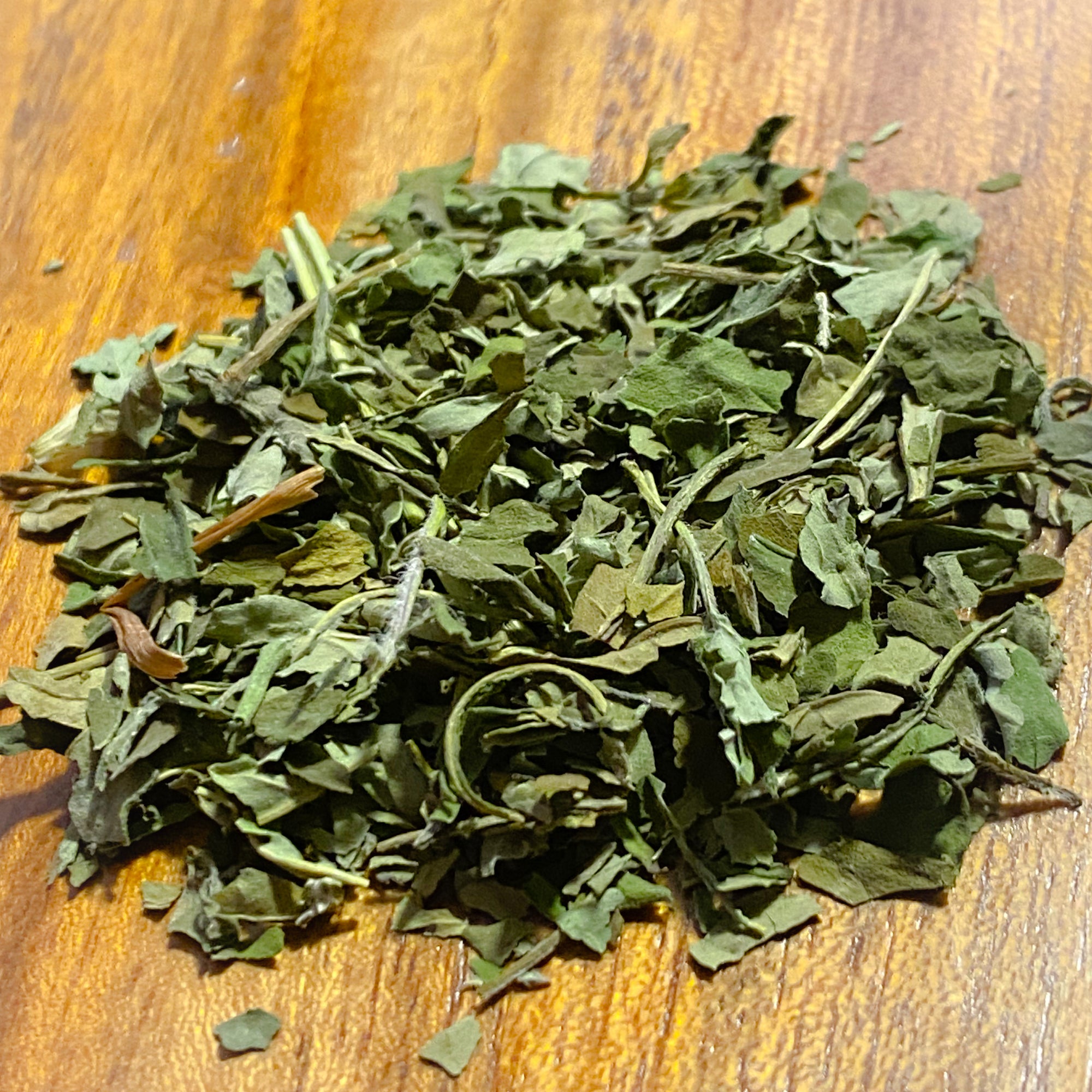 Bee Balm/ Monarda