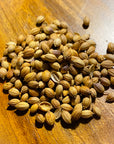 Coriander Seed