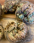 Rose of Jericho