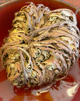 Rose of Jericho