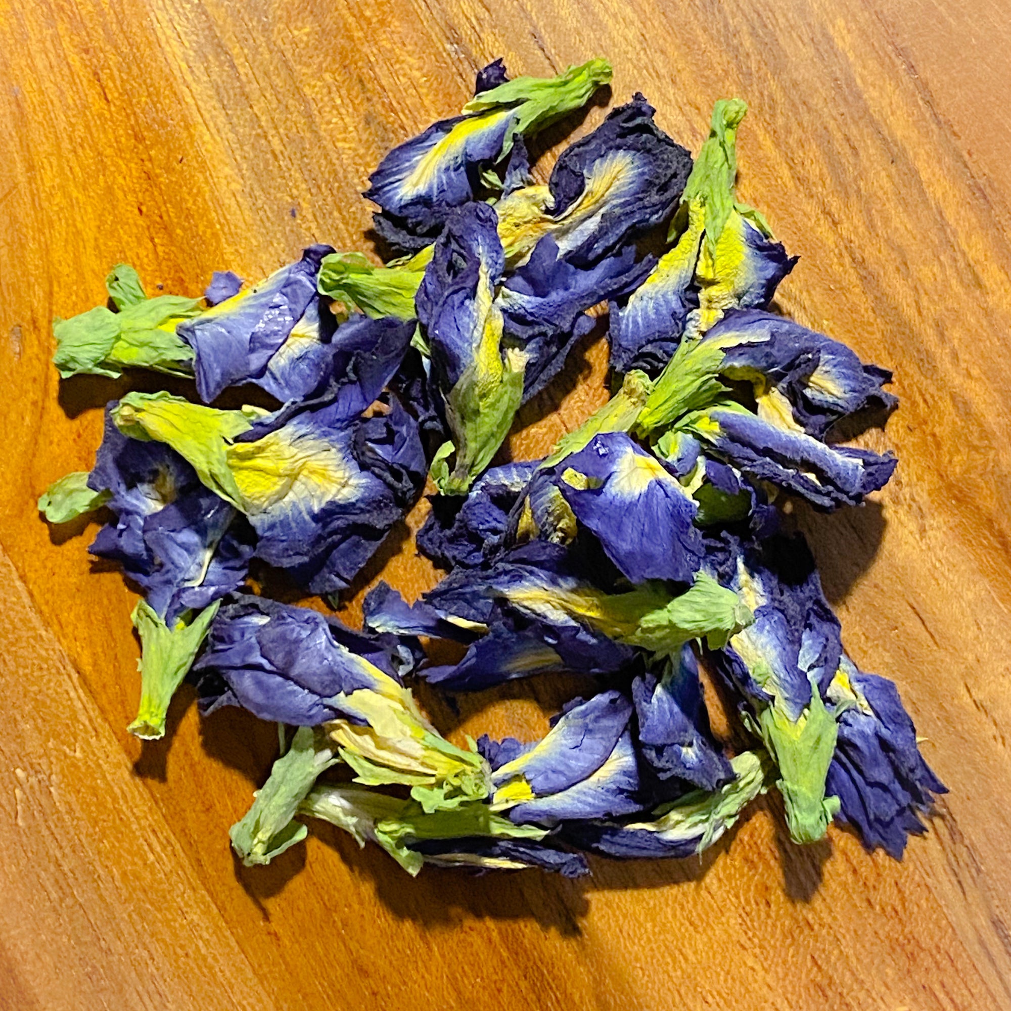 Butterfly Pea
