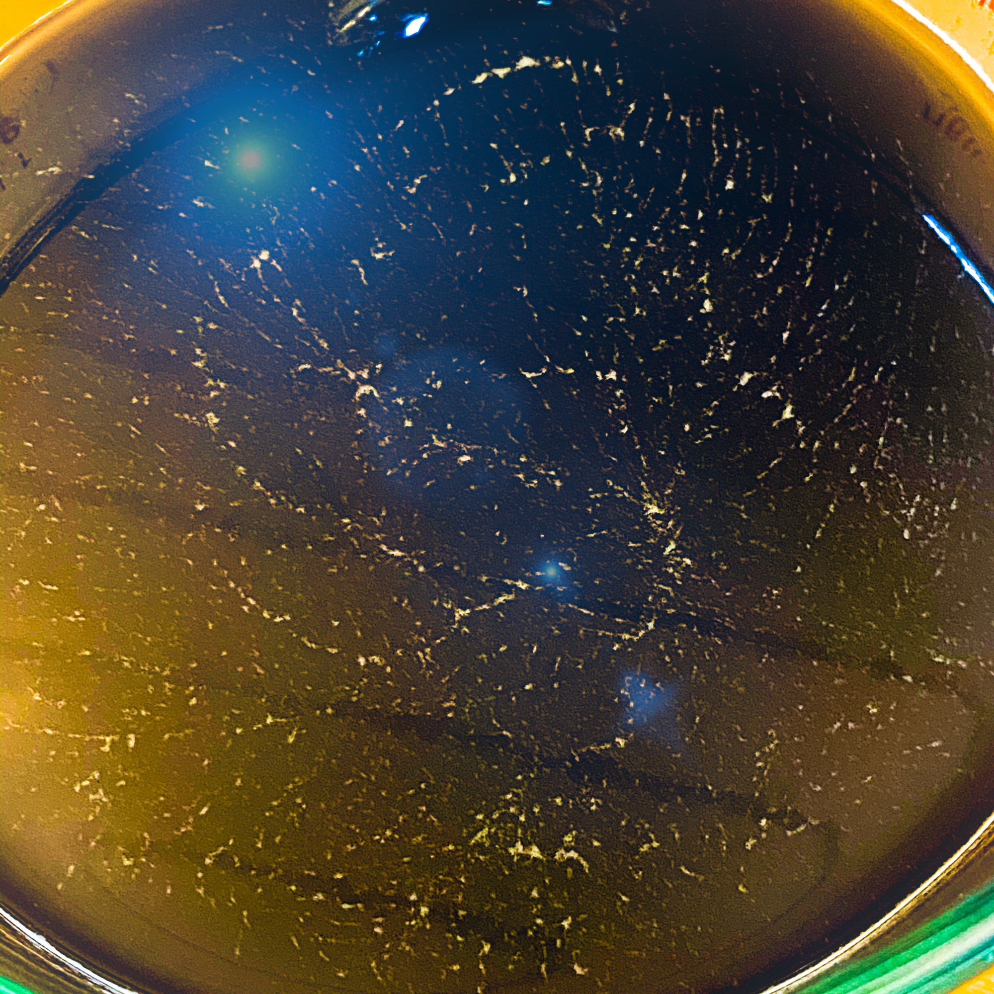 StarSeed Herbal Extract