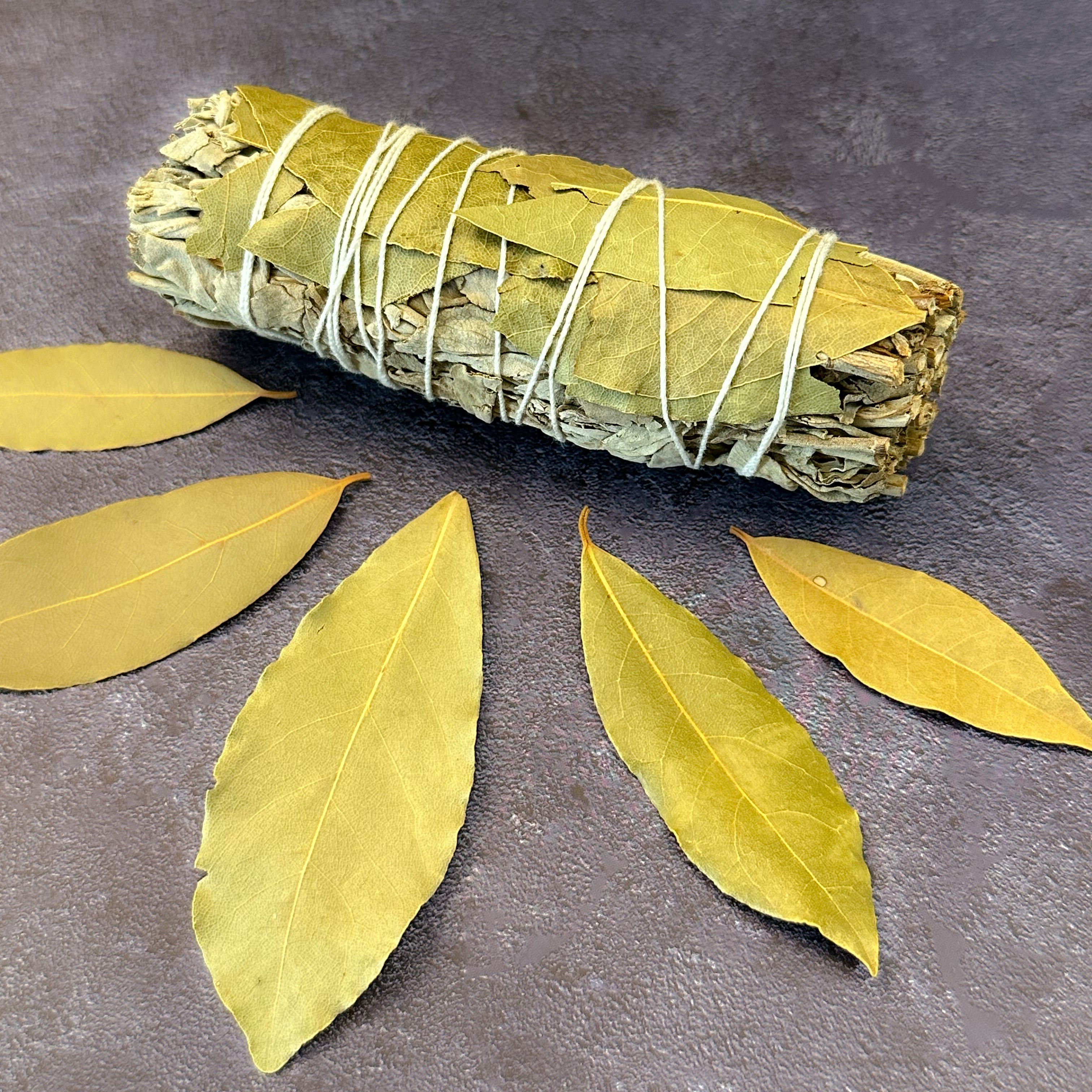 Bay Leaf &amp; Sage Bundle