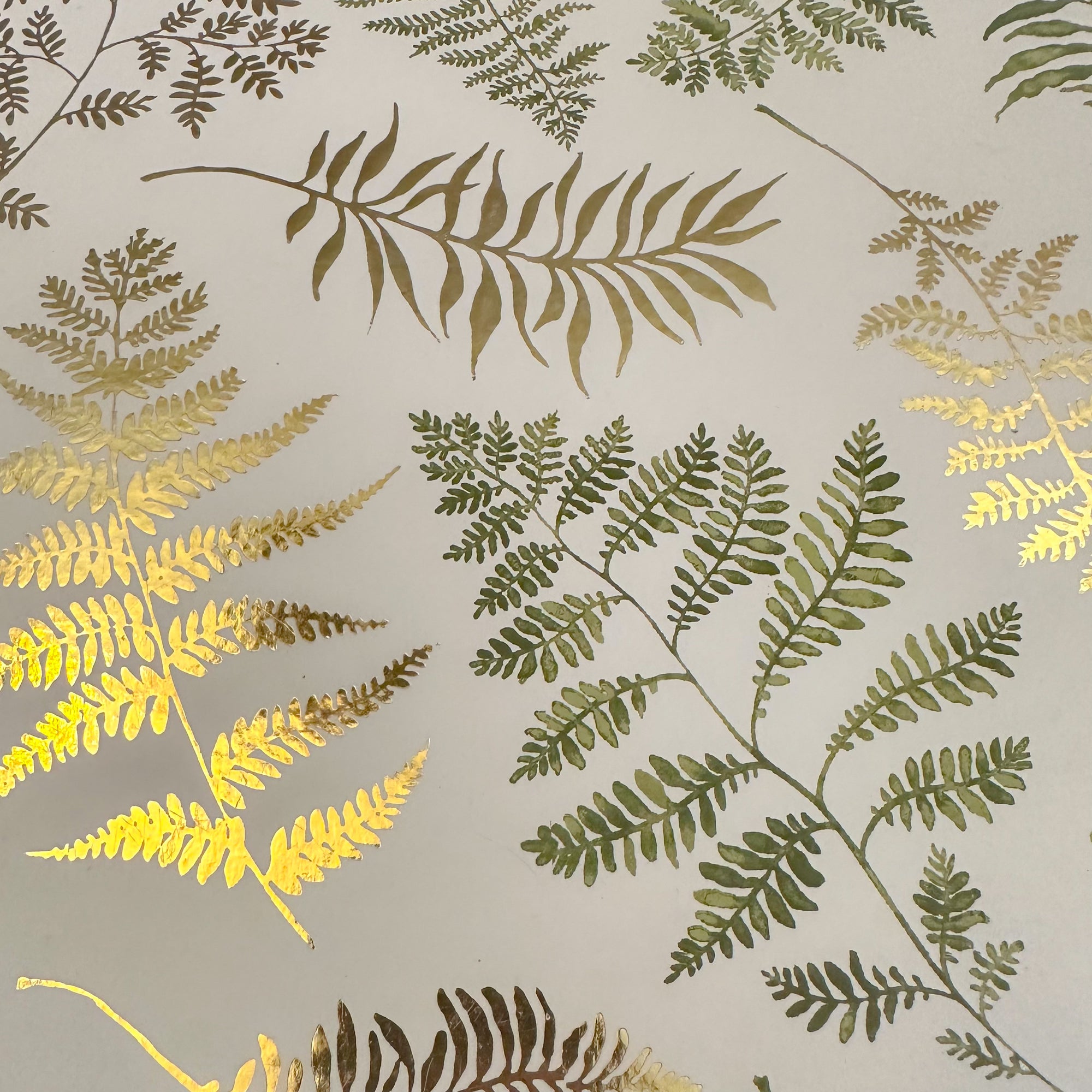 "Mushroom Wellness" Gift Box