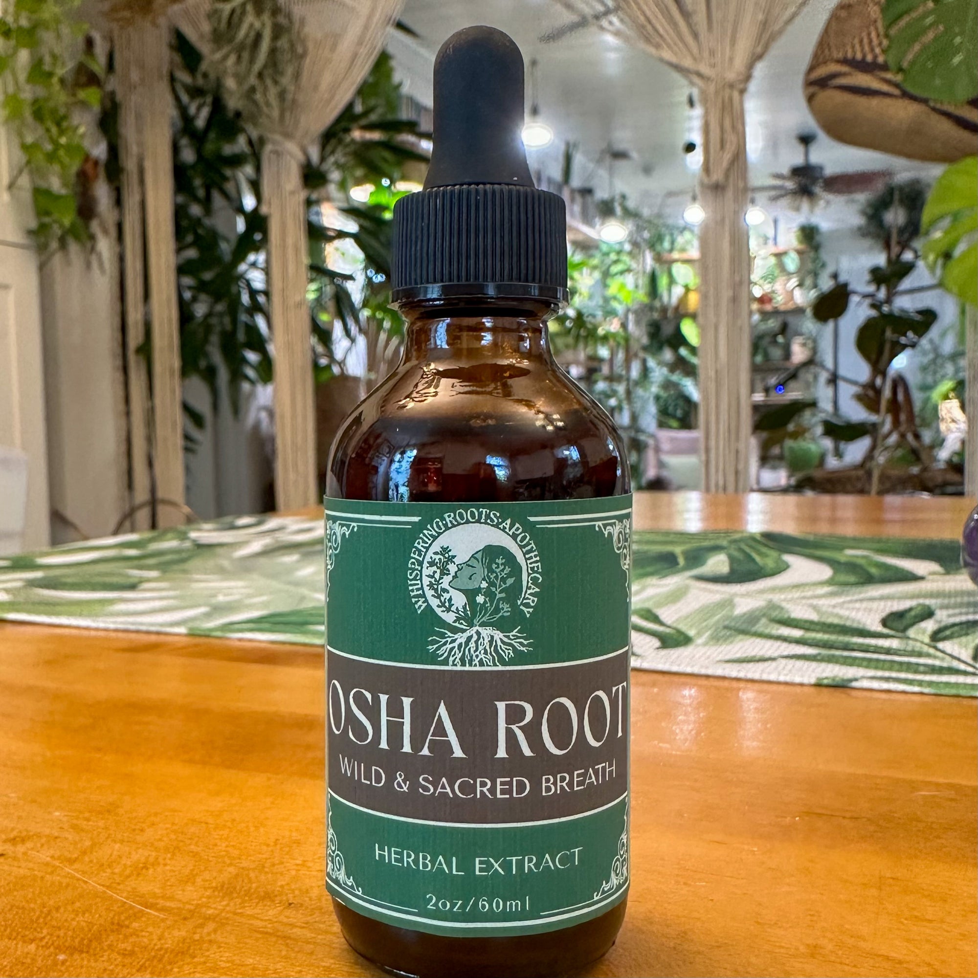 Osha Root Extract