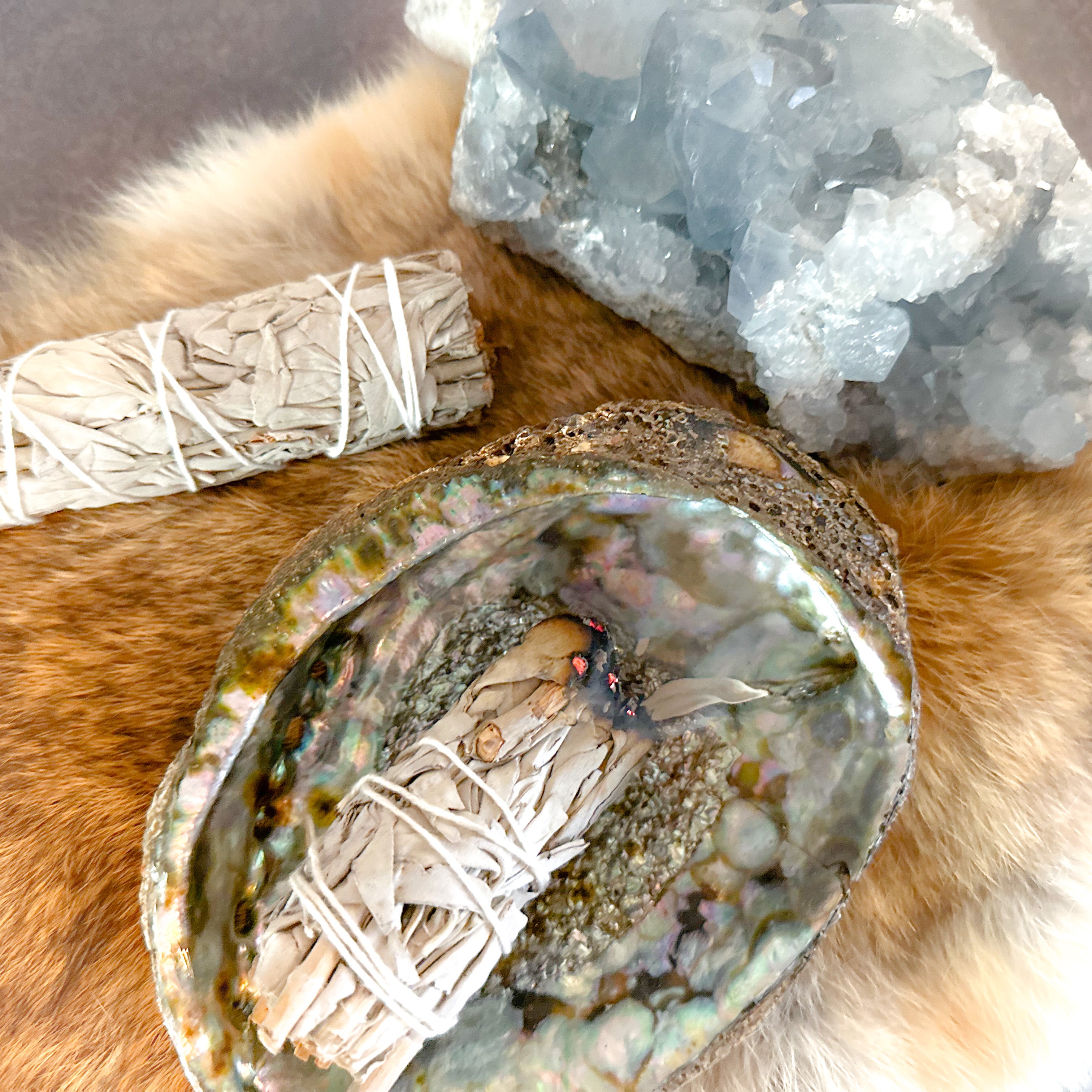 White Sage Bundle