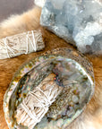 White Sage Bundle