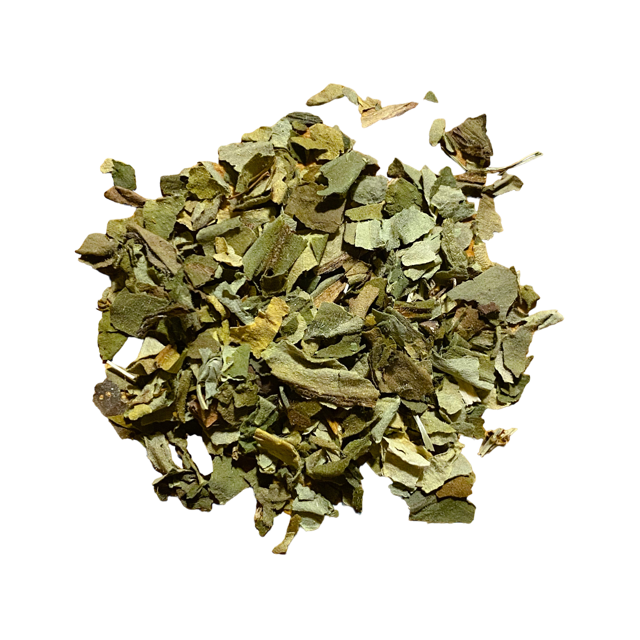 Lungwort
