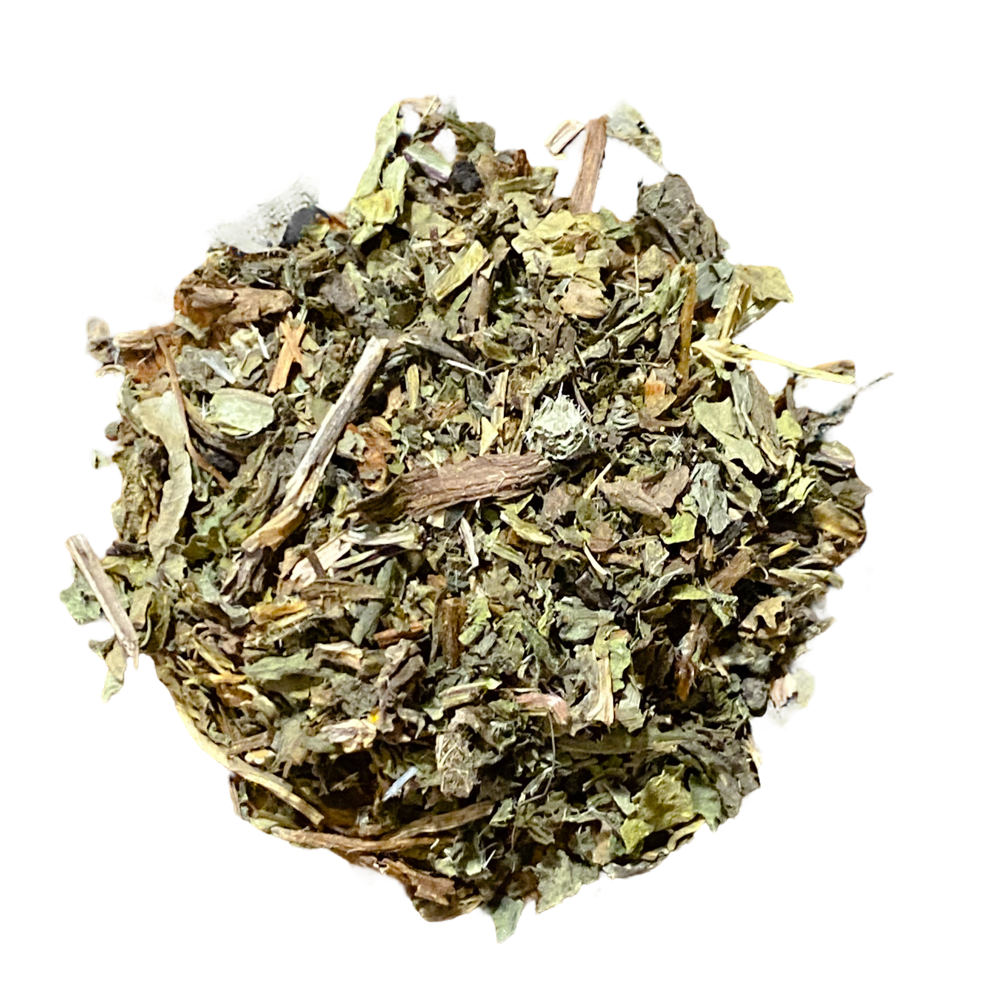 Wild Lettuce