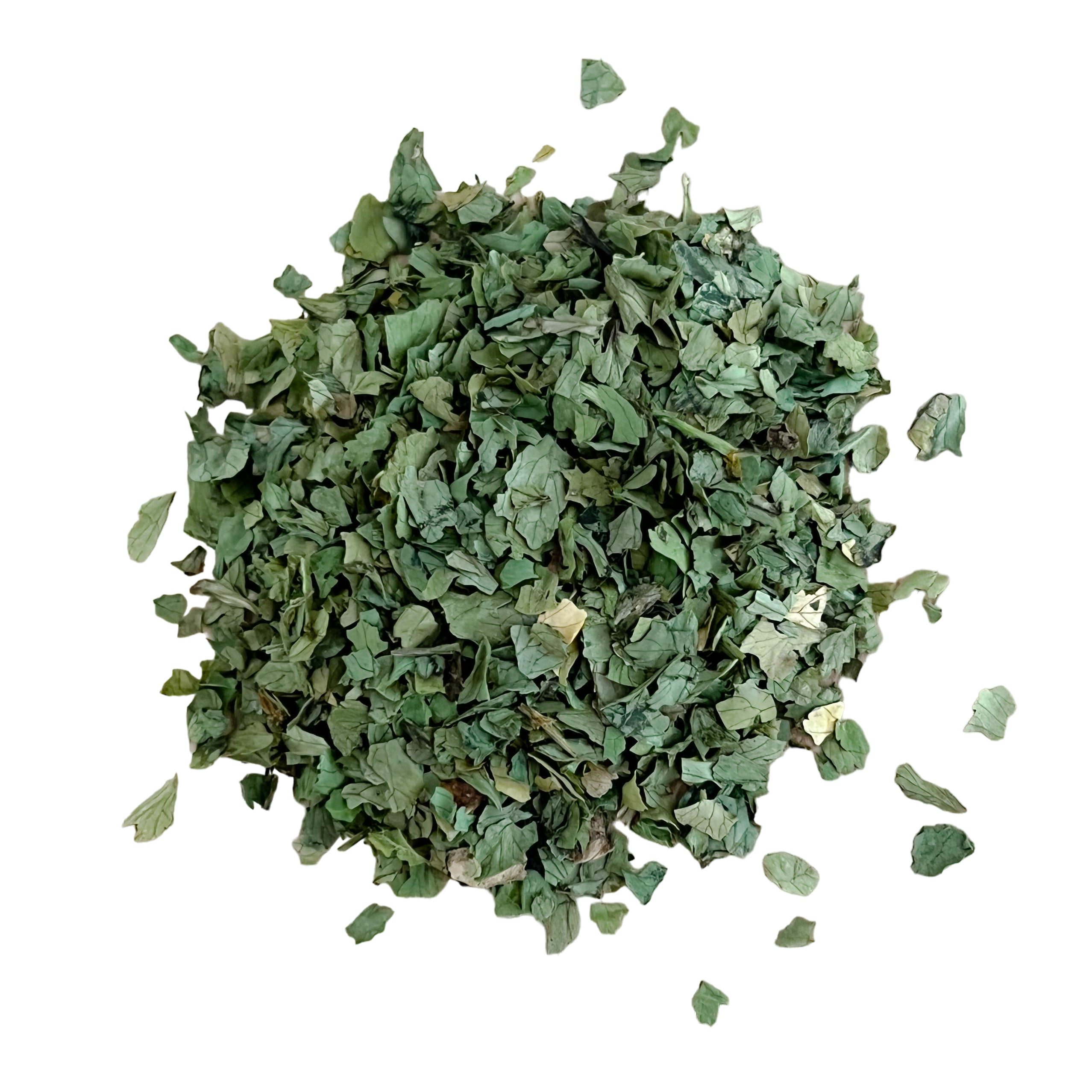 Cilantro Leaf