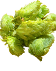 Hops