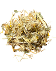 Grindelia