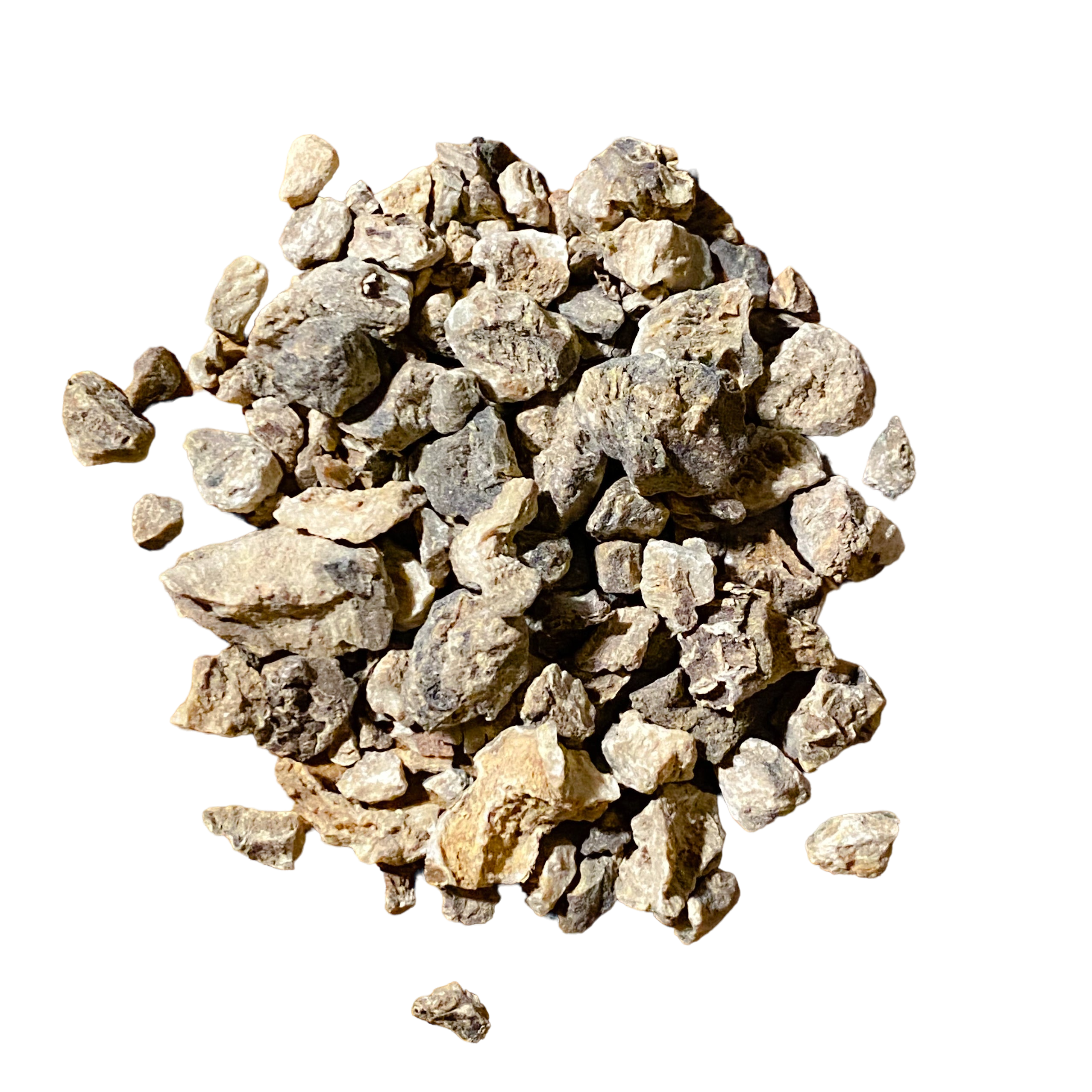 Devil&#39;s Claw Root