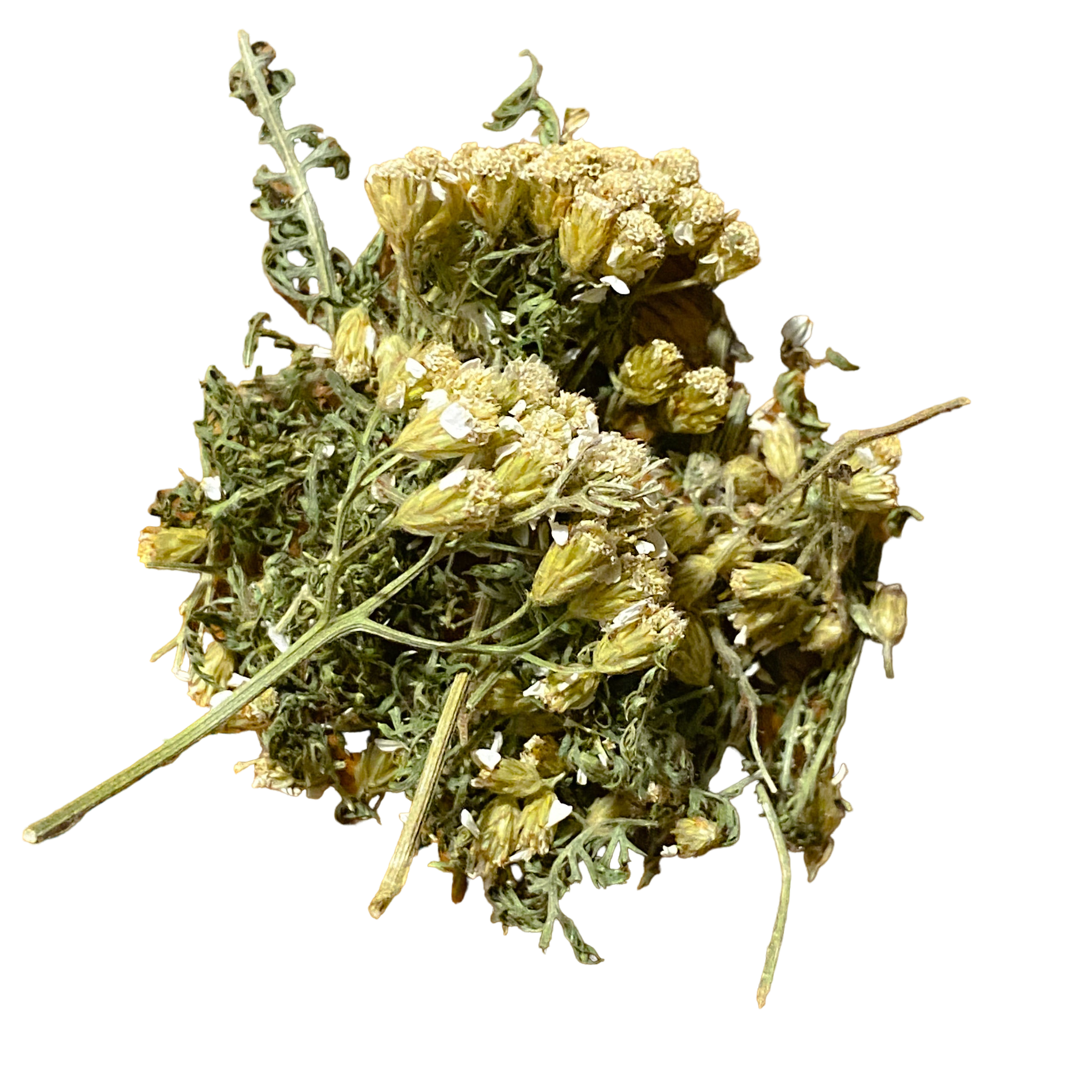 Yarrow