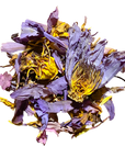 Blue Lotus