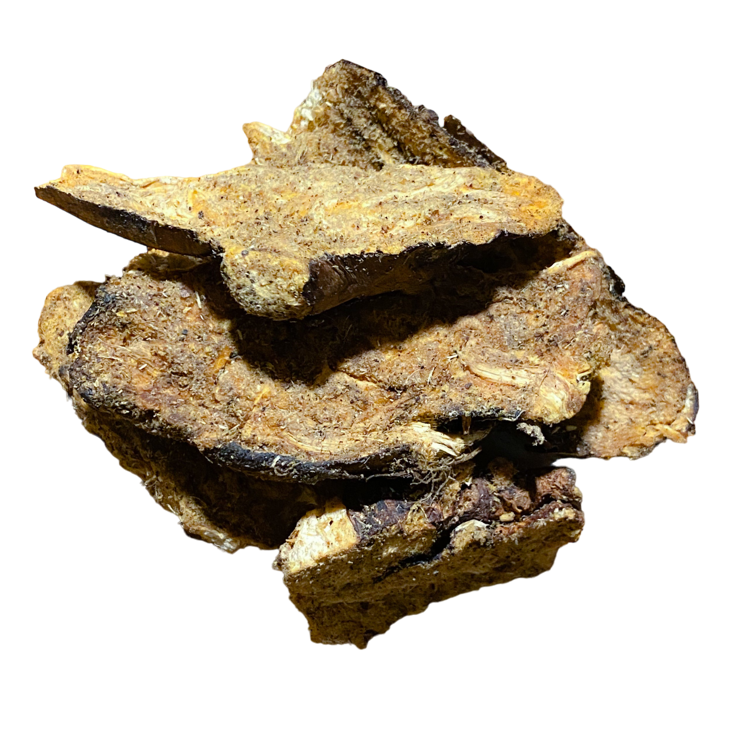 Lomatium Root