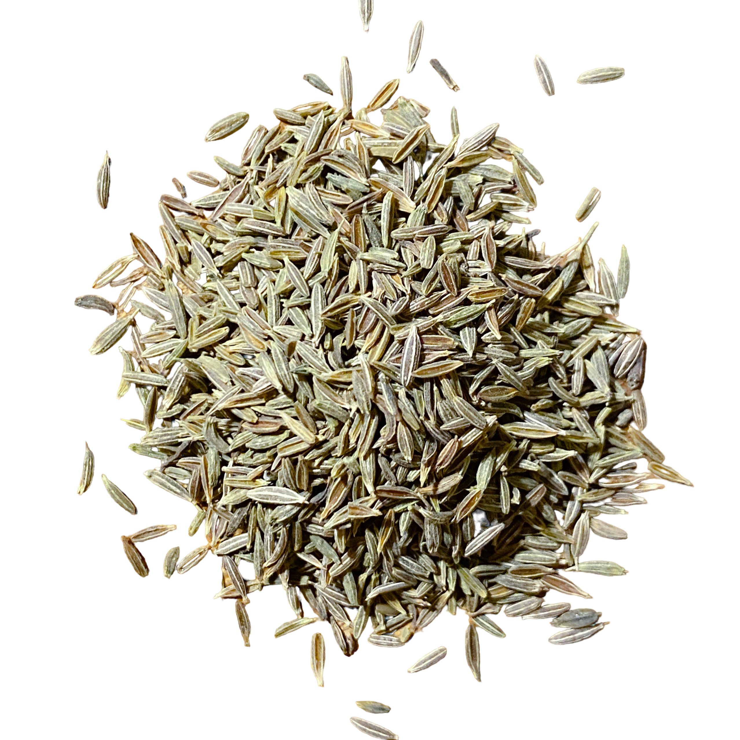 Cumin Seed