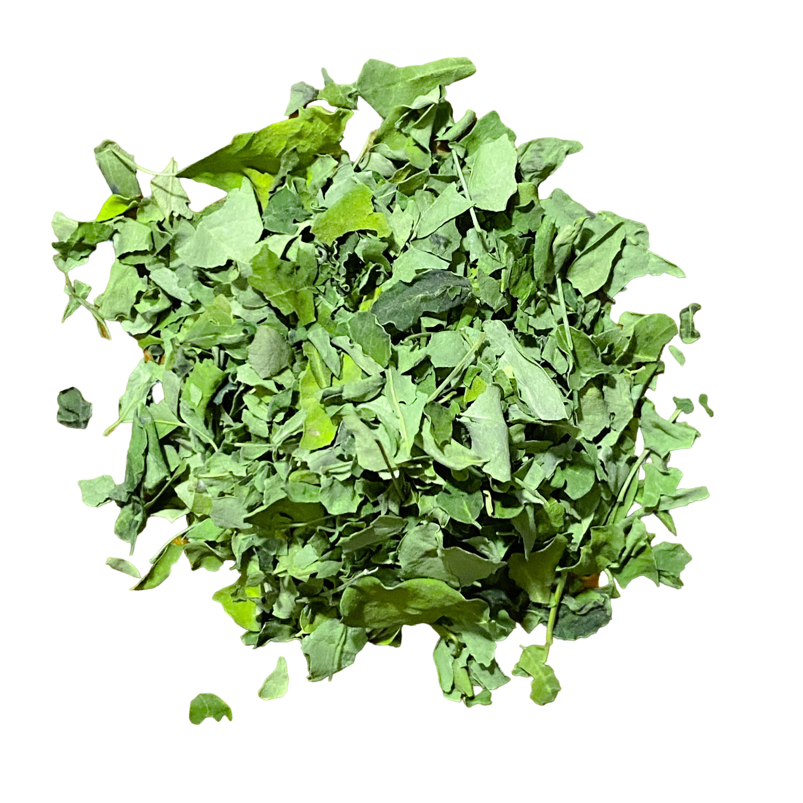 Moringa Leaf
