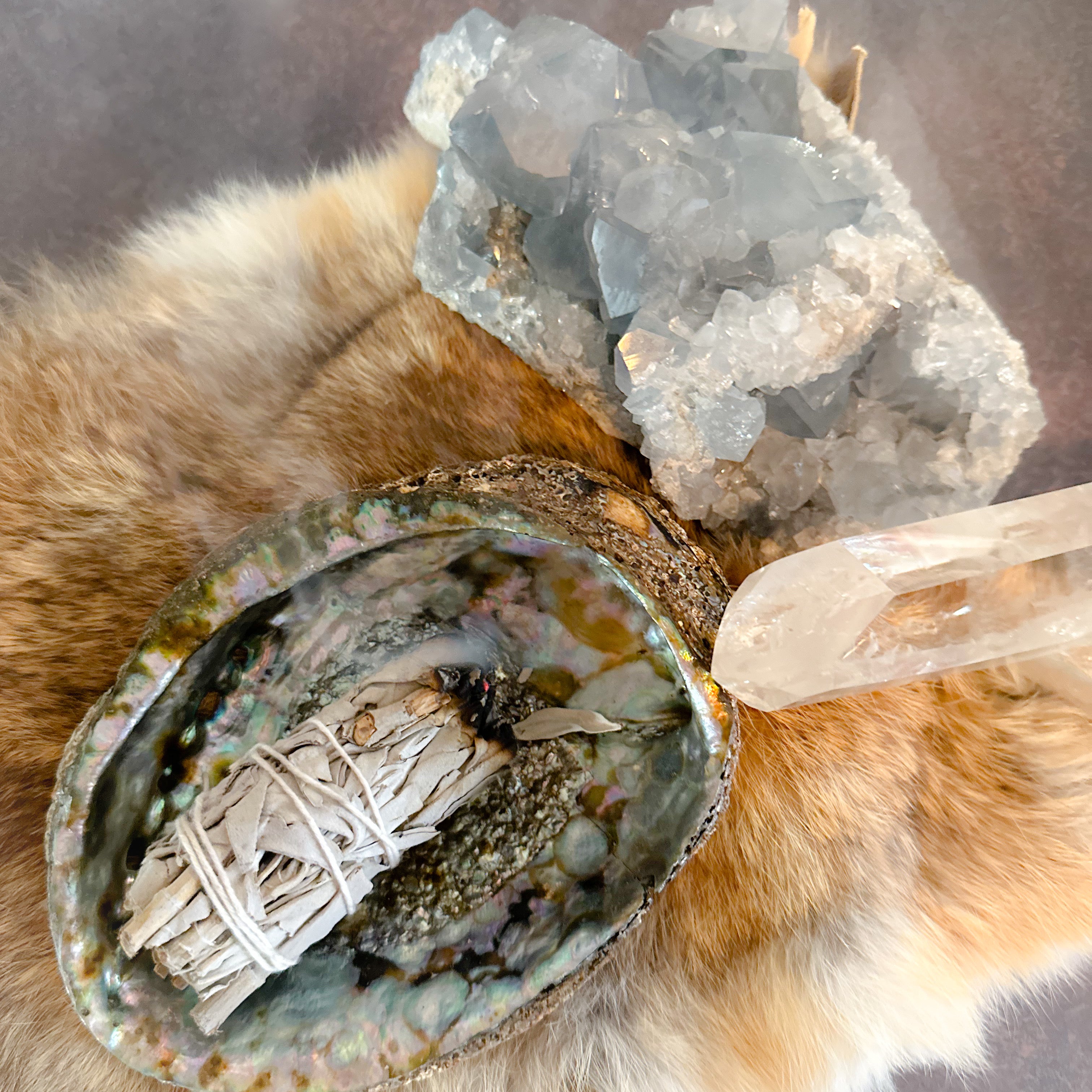 White Sage Bundle