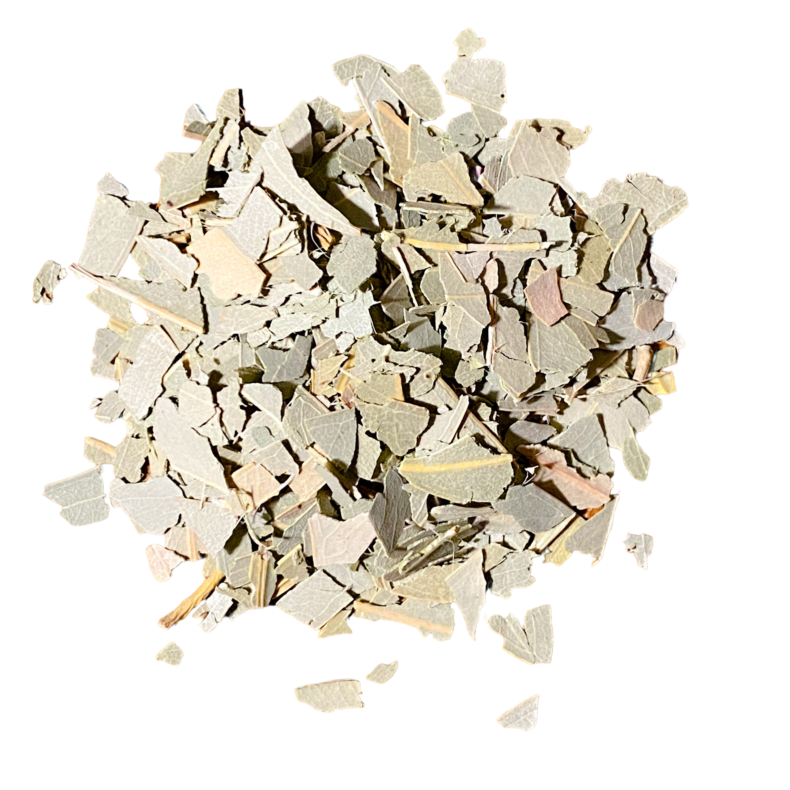 Eucalyptus