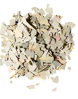 Eucalyptus
