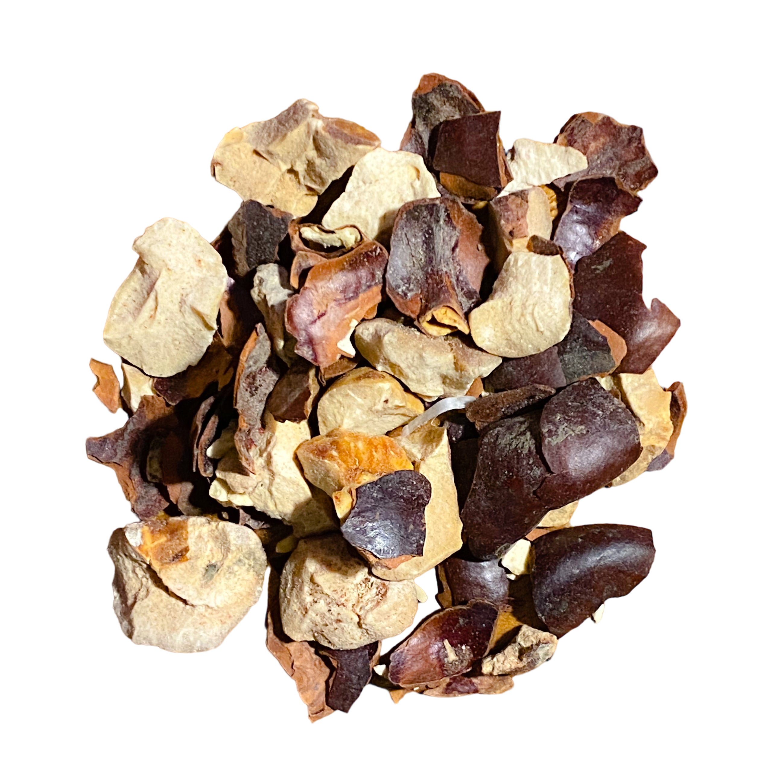 Horse Chestnut