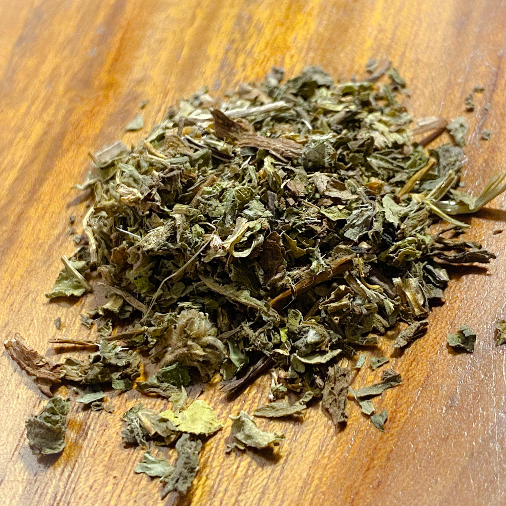 Wild Lettuce