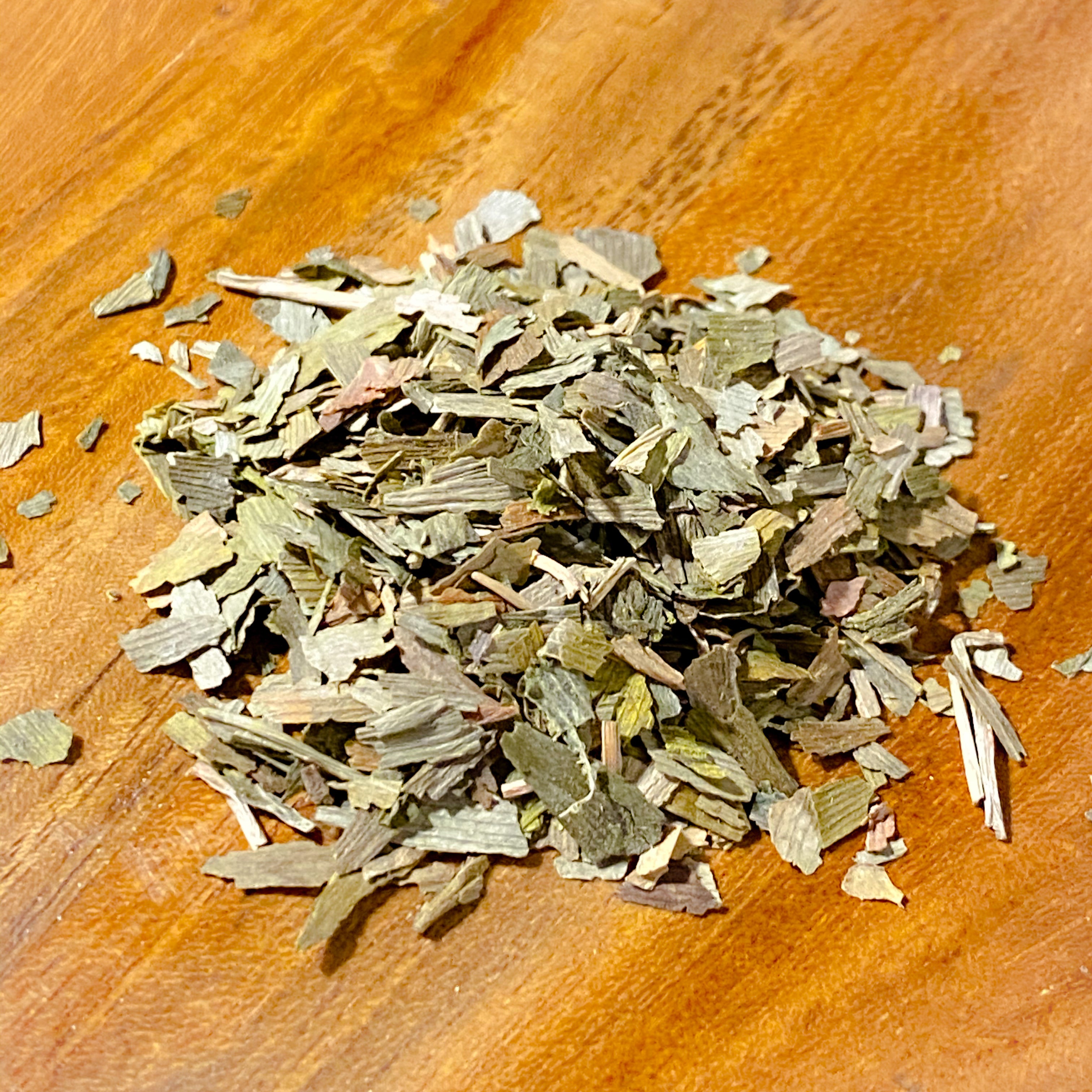 Ginkgo Leaf