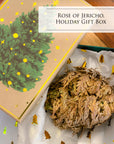Rose of Jericho, Holiday Gift Box