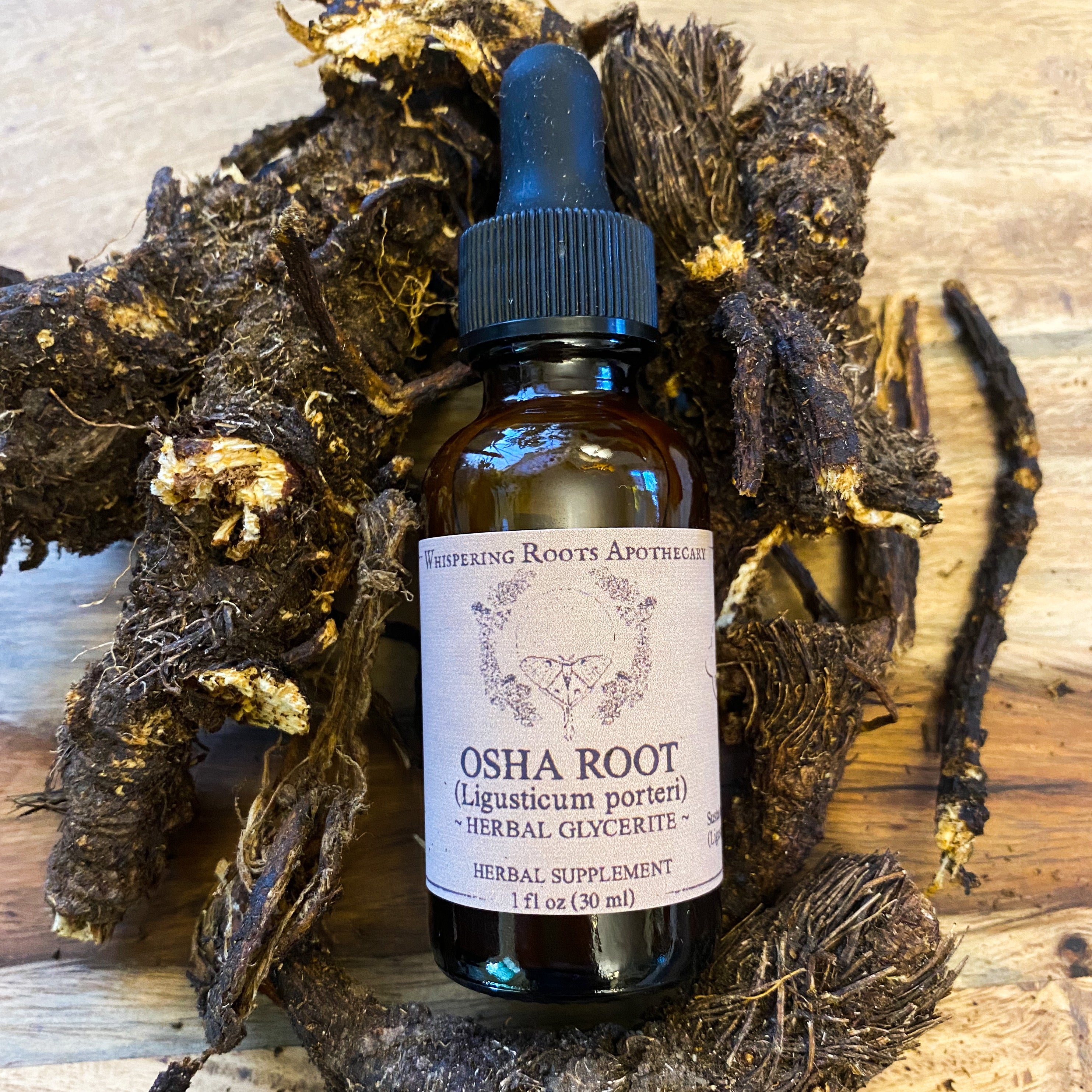 Osha Root Glycerite