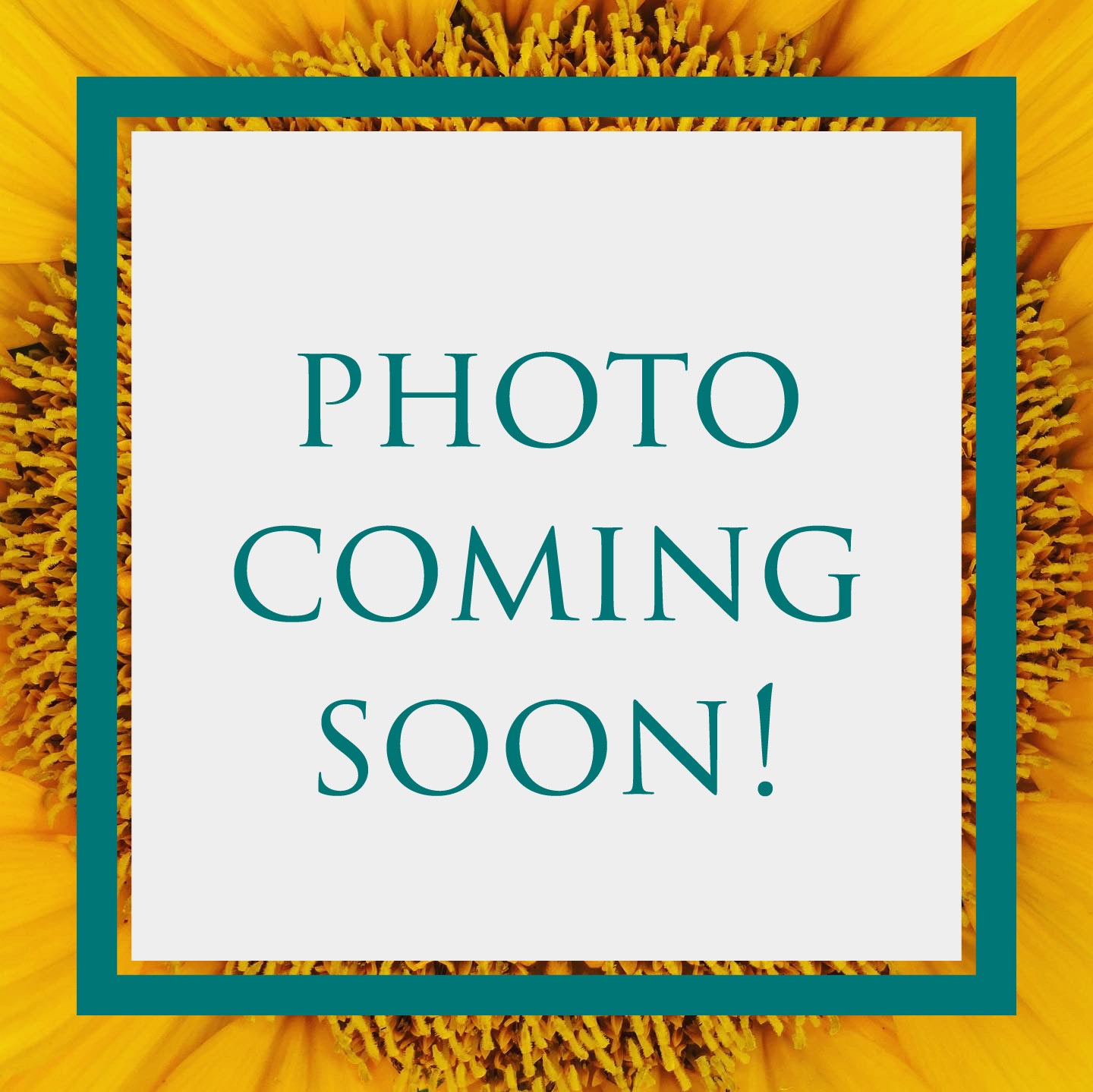 Holy Basil (Vana) Extract