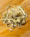 Grindelia