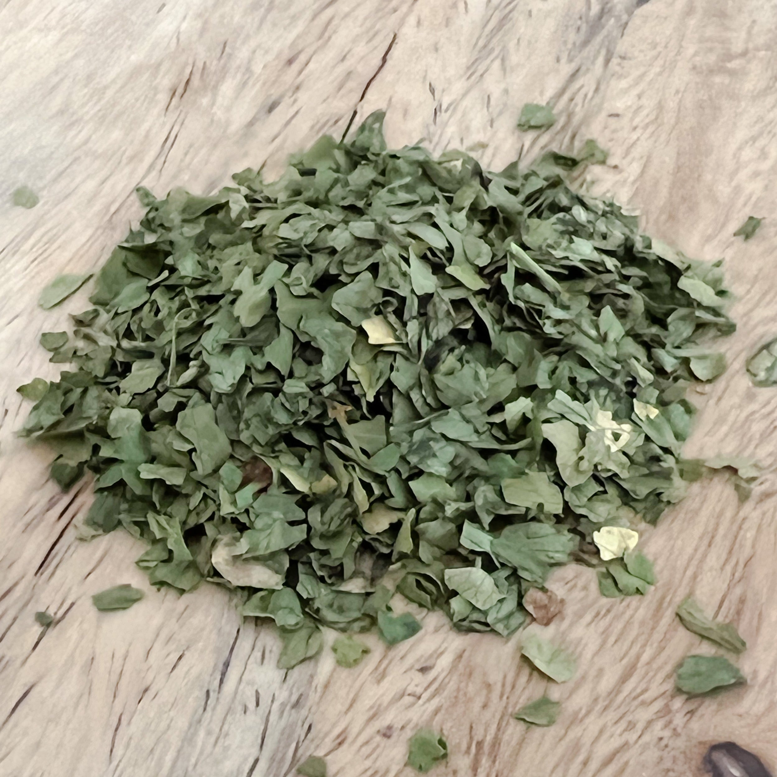 Cilantro Leaf