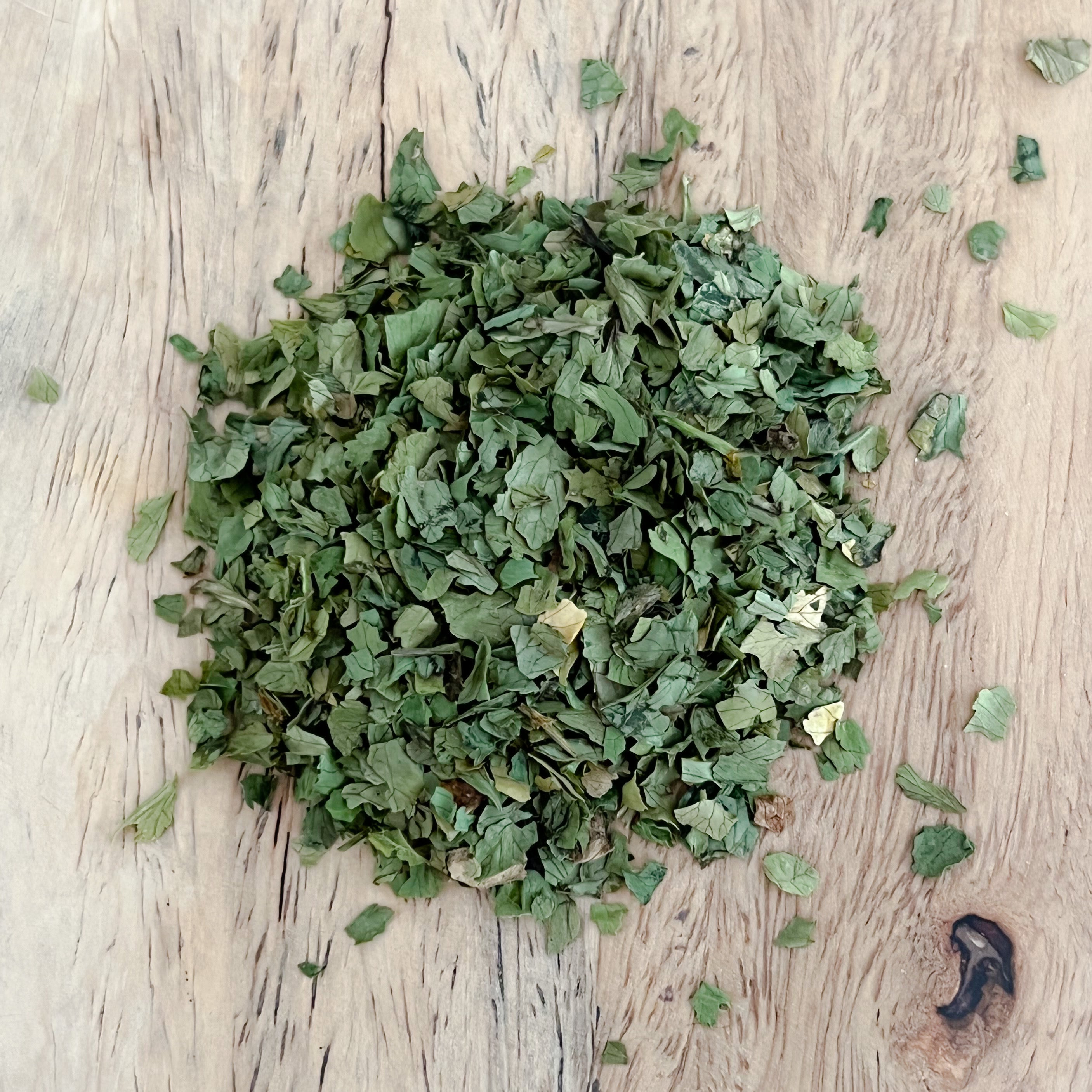Cilantro Leaf