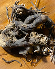 Black Cohosh Root