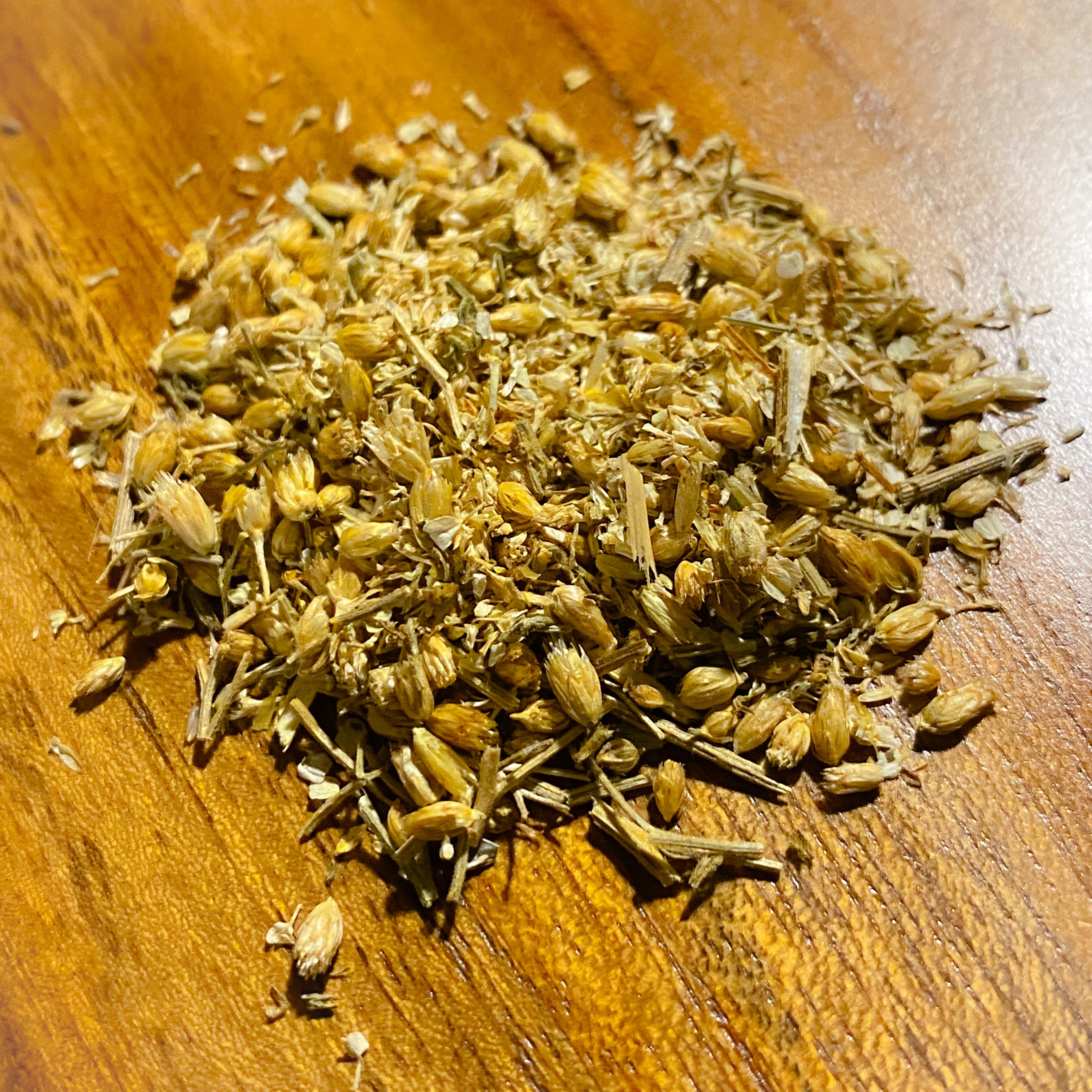 Yarrow Flower