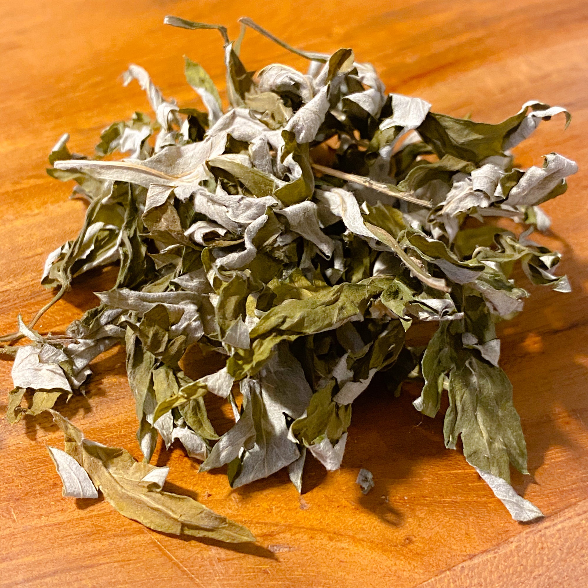 Mugwort