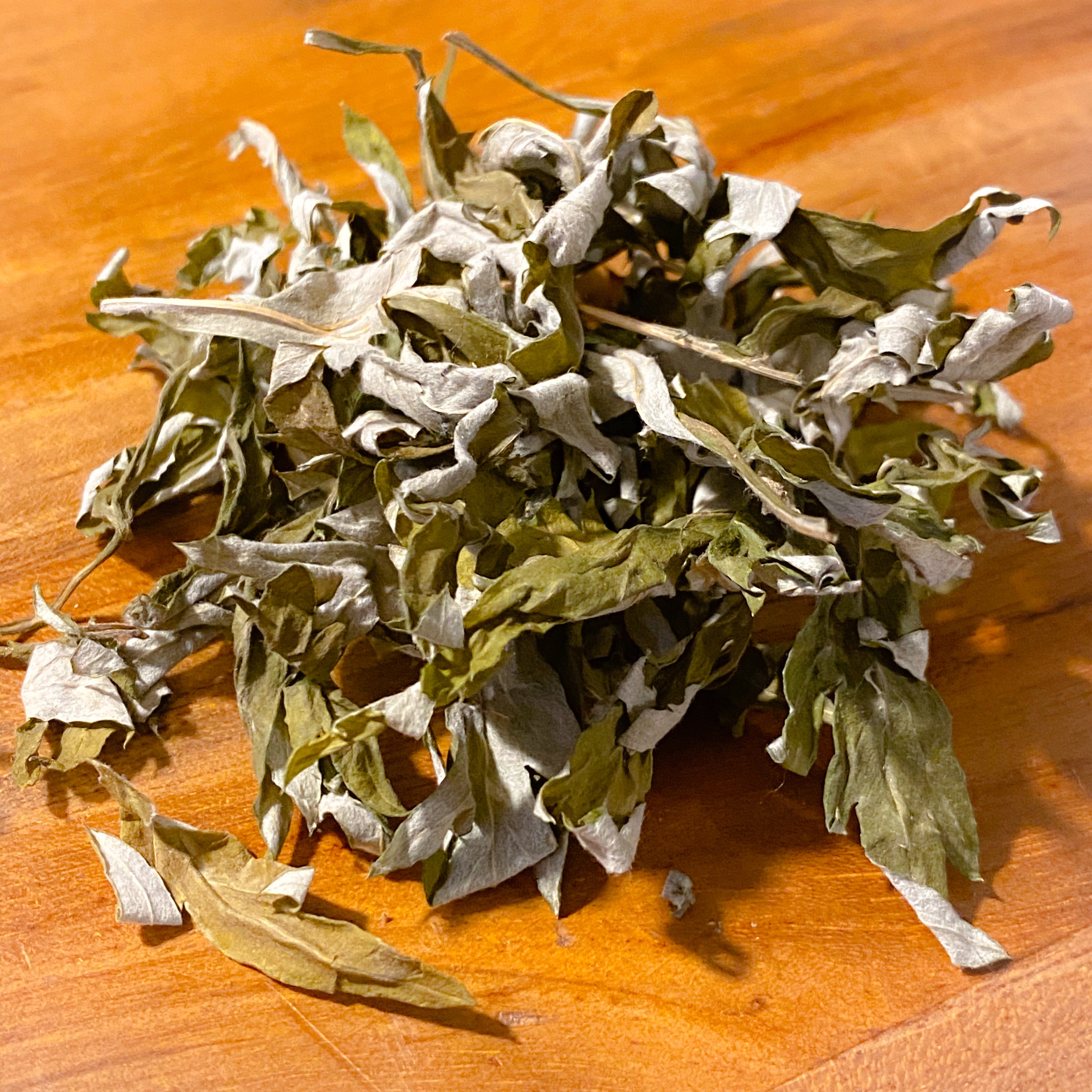 Mugwort