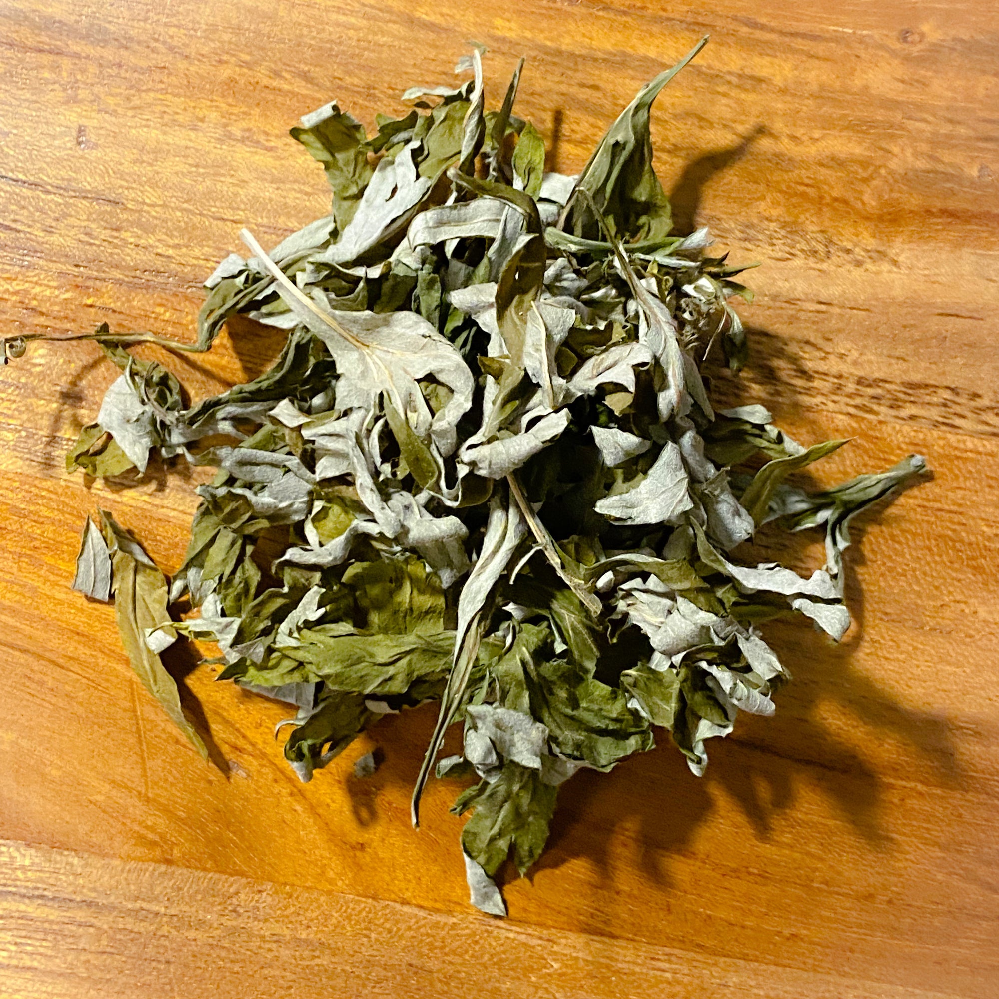 Mugwort