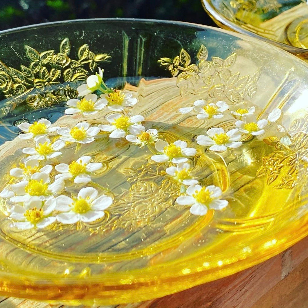 Wild Strawberry Flower Essence