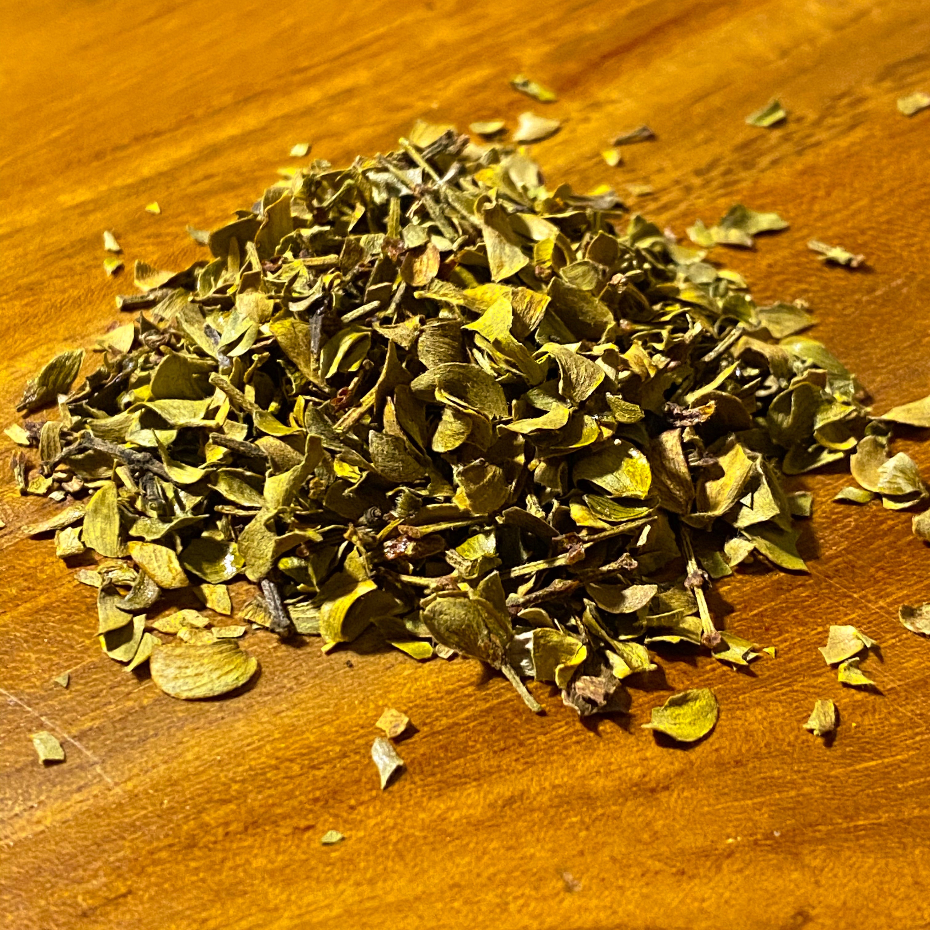 Chaparral Leaf
